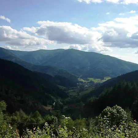 Haus Am Wald 2 Apartament Furtwangen im Schwarzwald