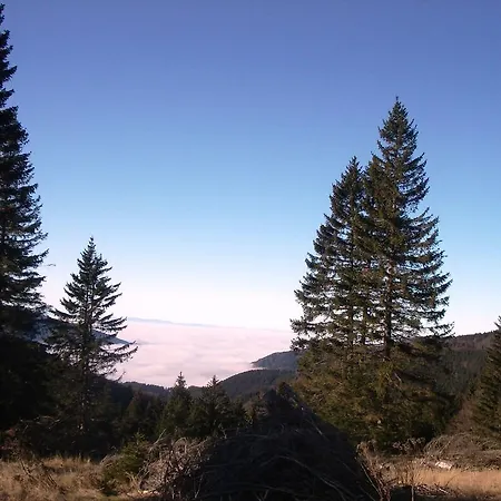 Haus Am Wald 2 Furtwangen im Schwarzwald