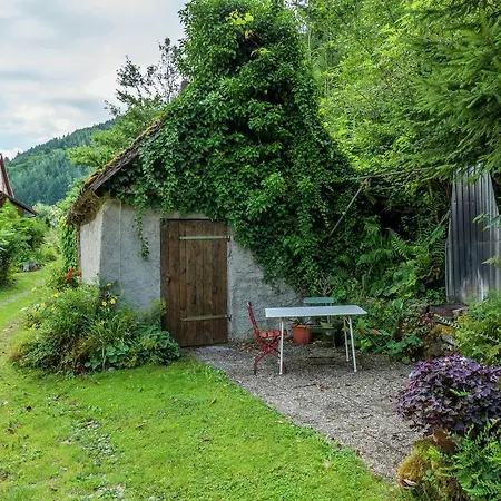 Apartament Haus Am Wald 2 Furtwangen im Schwarzwald
